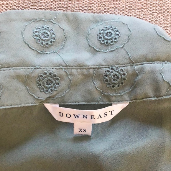 DOWNEAST collar sheer blouse - Picture 7 of 8